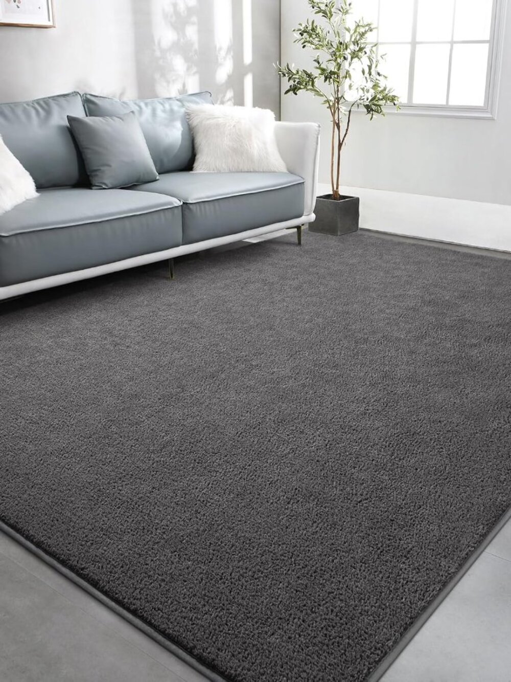 Large Area Rugs for Living Room Bedroom, 5x8 Feet, Super Soft Indoor Thickened M